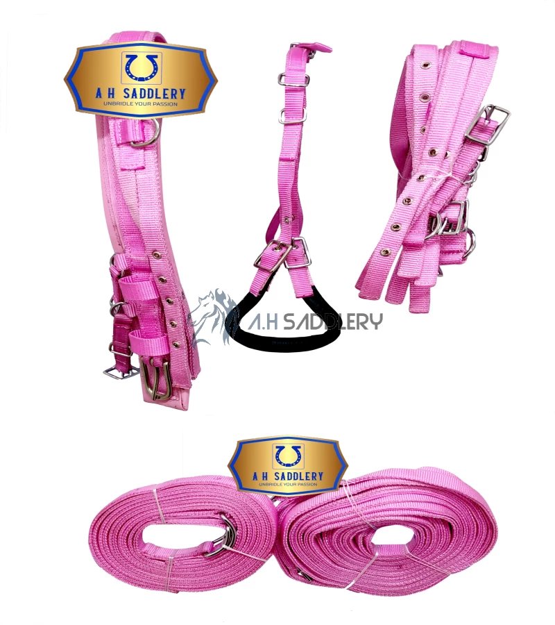 Premium Nylon Horse Driving Harness with Stainless Steel Fittings and Padding - Show and Training Equestrian Gear